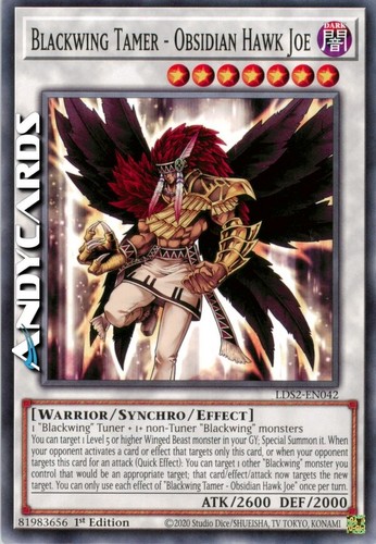 Blackwing tamer obsidian - blackwing,