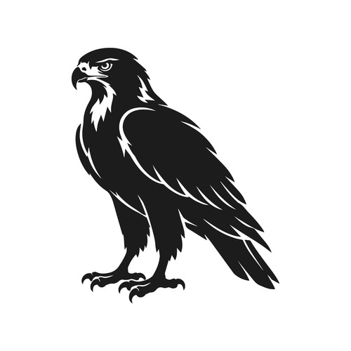 Adesivo dettagliato hawk - adesivo,