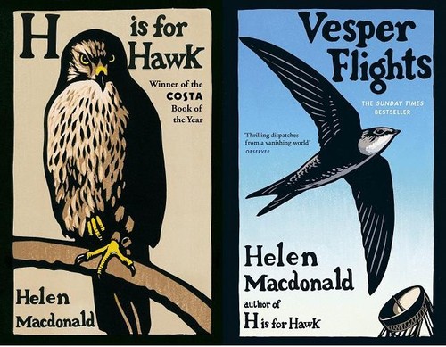 For hawk vesper - vesper, flights