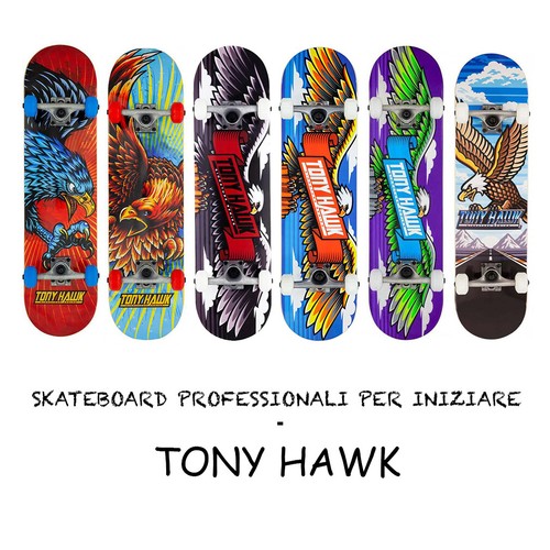 Tony hawk skateboard - tony, completo
