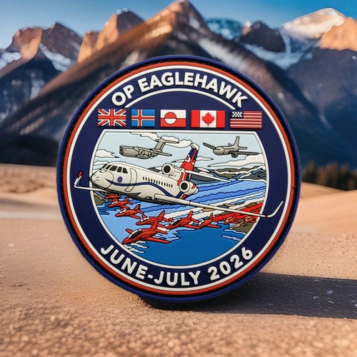 Operation eagle hawk 3d pvc - eagle,